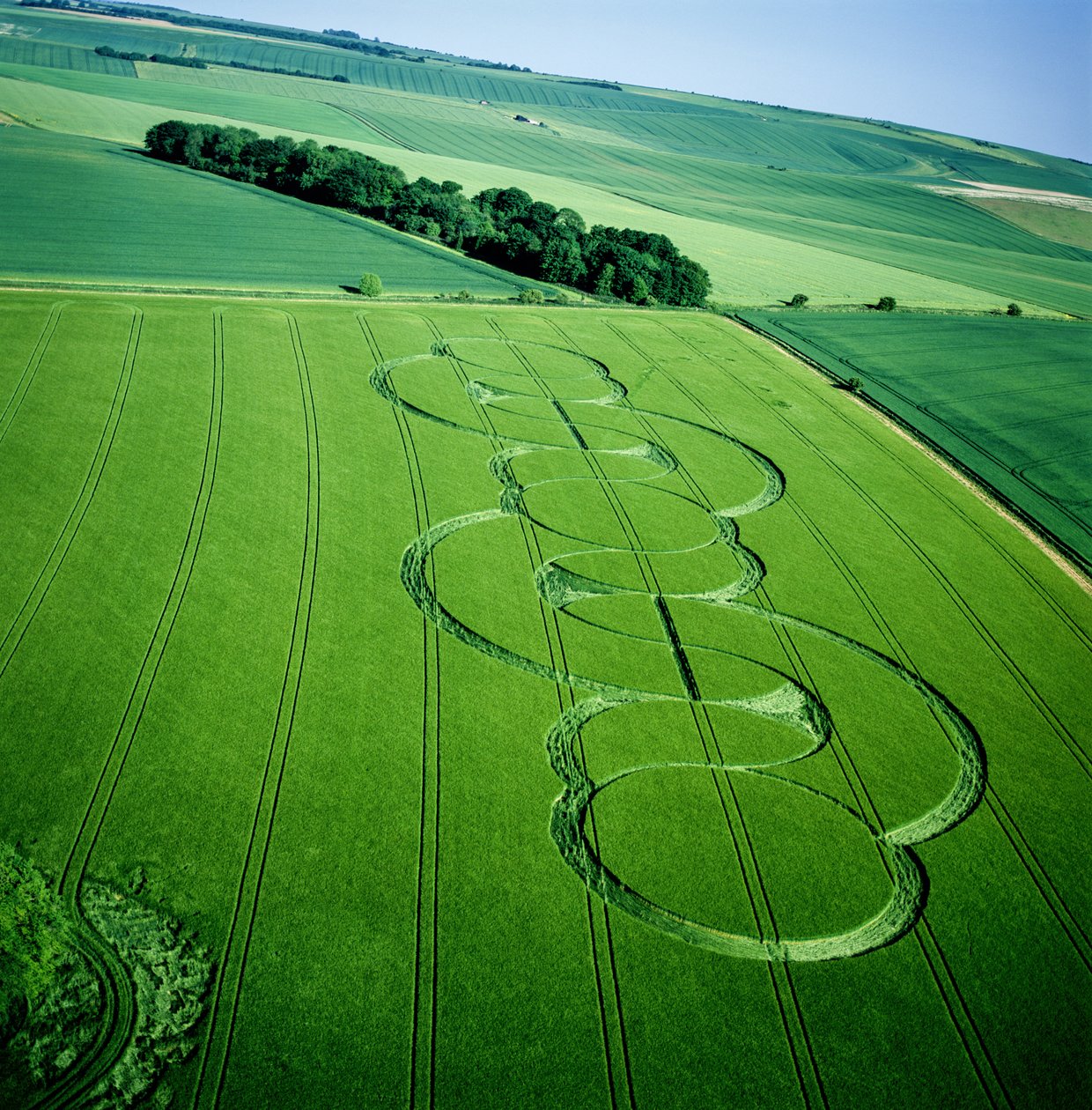 Kornsirkel i byggåker, Beckhampton, Wiltshire, 5. juni 2005 (flyfoto) av Ferdinand Georg Waldmuller