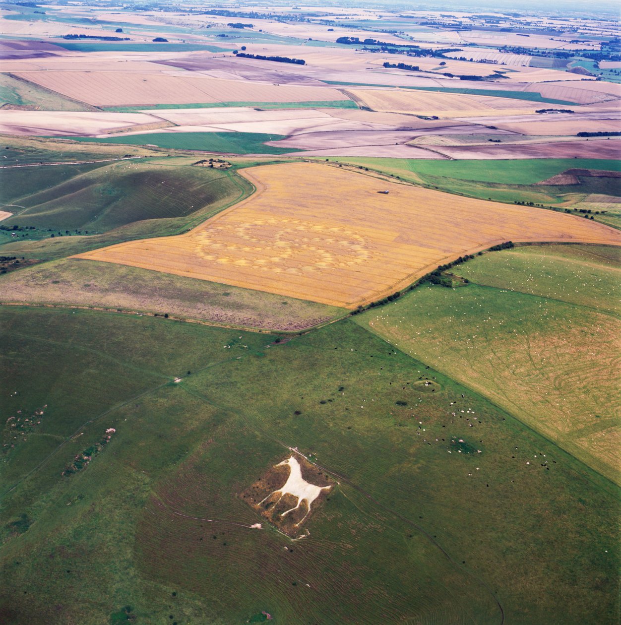 Kornsirkel i hveteåker, Milk Hill, Alton Priors, Vale of Pewsey, Wiltshire av Ferdinand Georg Waldmuller