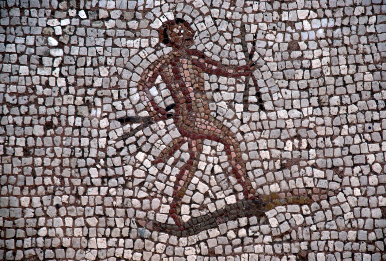 Danser, mosaikk i den gamle havnen i Kos, Kos-øya, Hellas, romersk sivilisasjon (bilde) av Georg Carl Heinrich Dollmann