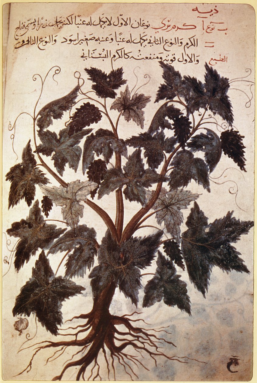 Herbals Vine av Ferdinand Georg Waldmuller