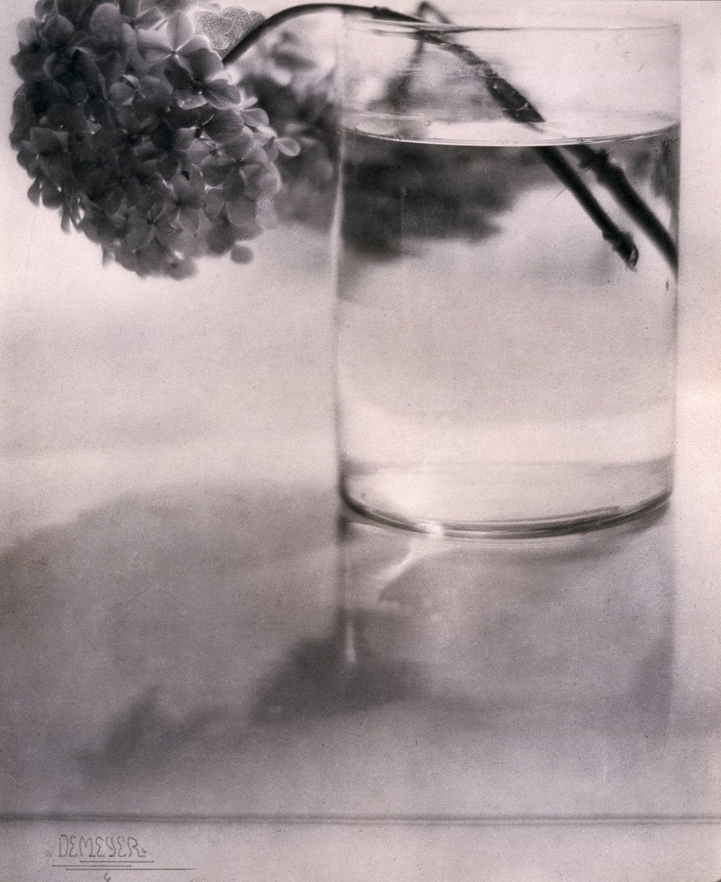 Hortensia, ca 1907 av John Pardon