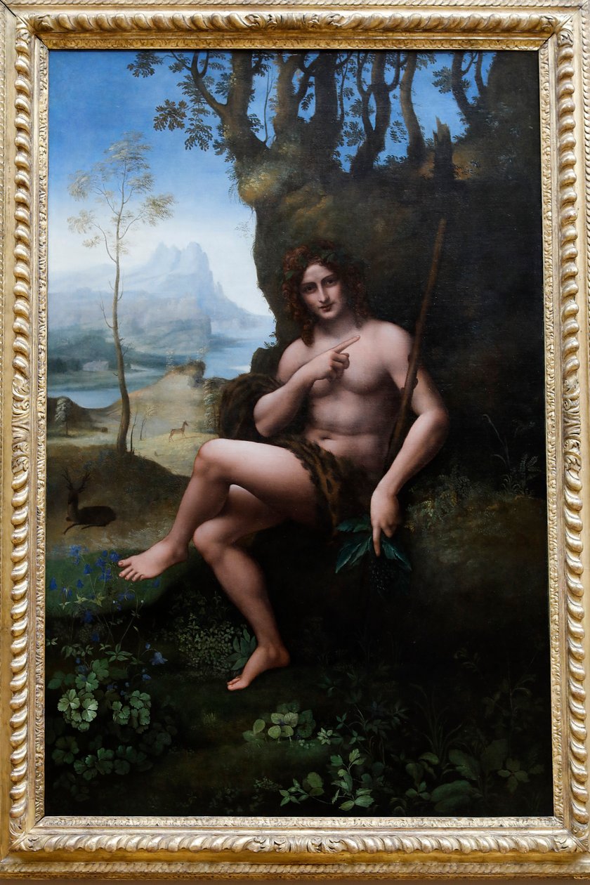 Louvre-museet, Paris, Frankrike. Leonardo da Vincis verksted, kreditert Francesco Melzi, døperen Johannes, olje på panel overført til lerret, ca. 1510-1520. av . .