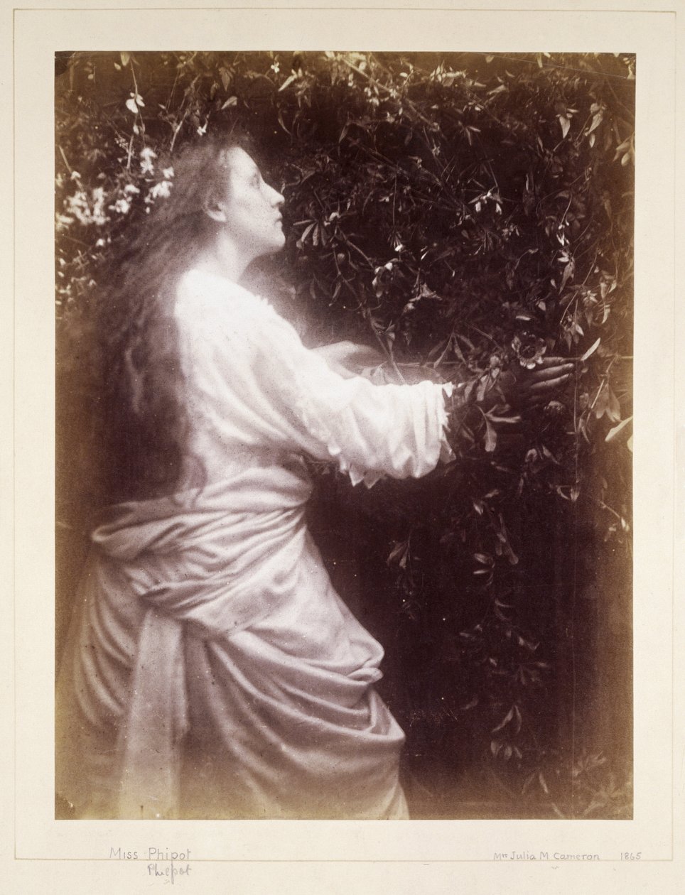 Mary Hillier, ca 1865 av John Pardon