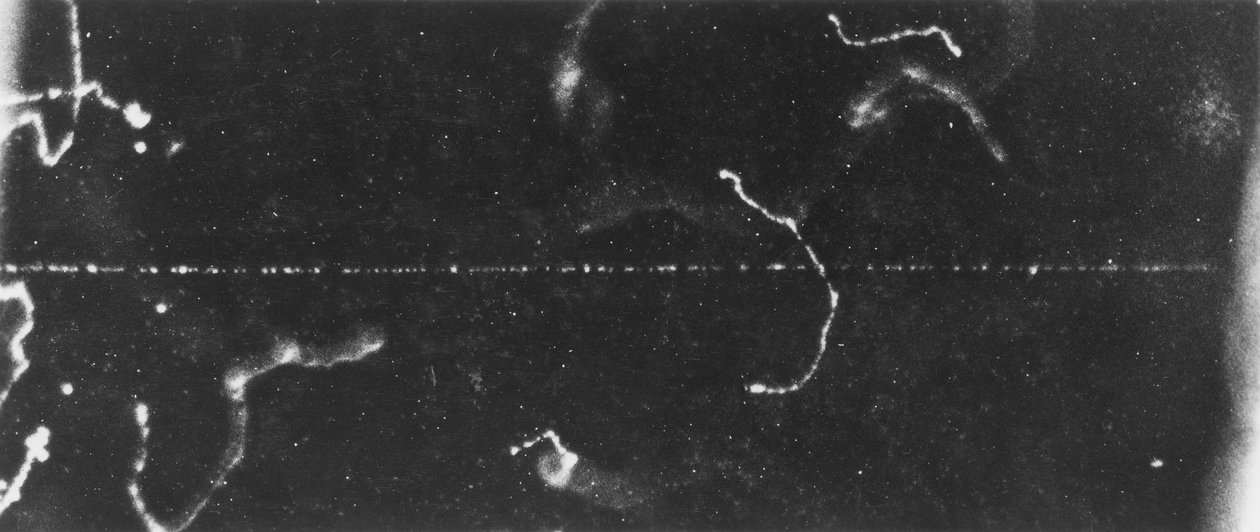 Particle Imaging, Cloud Chamber Sporet til en rask beta-ray, tidlig på 1900-tallet av Ferdinand Georg Waldmuller