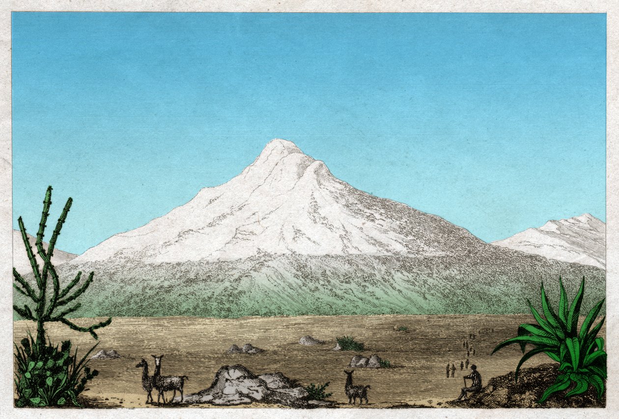 Chimborazo-vulkanen fra platået i Tapia, Ecuador. rundt 1840 (gravering) av . .
