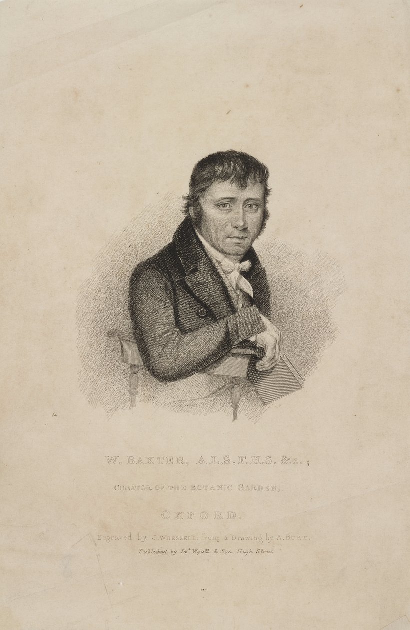 William Baxter, ALS FHS, britisk botaniker, ca 1820-tallet av Frederick (attr. to) Barnard