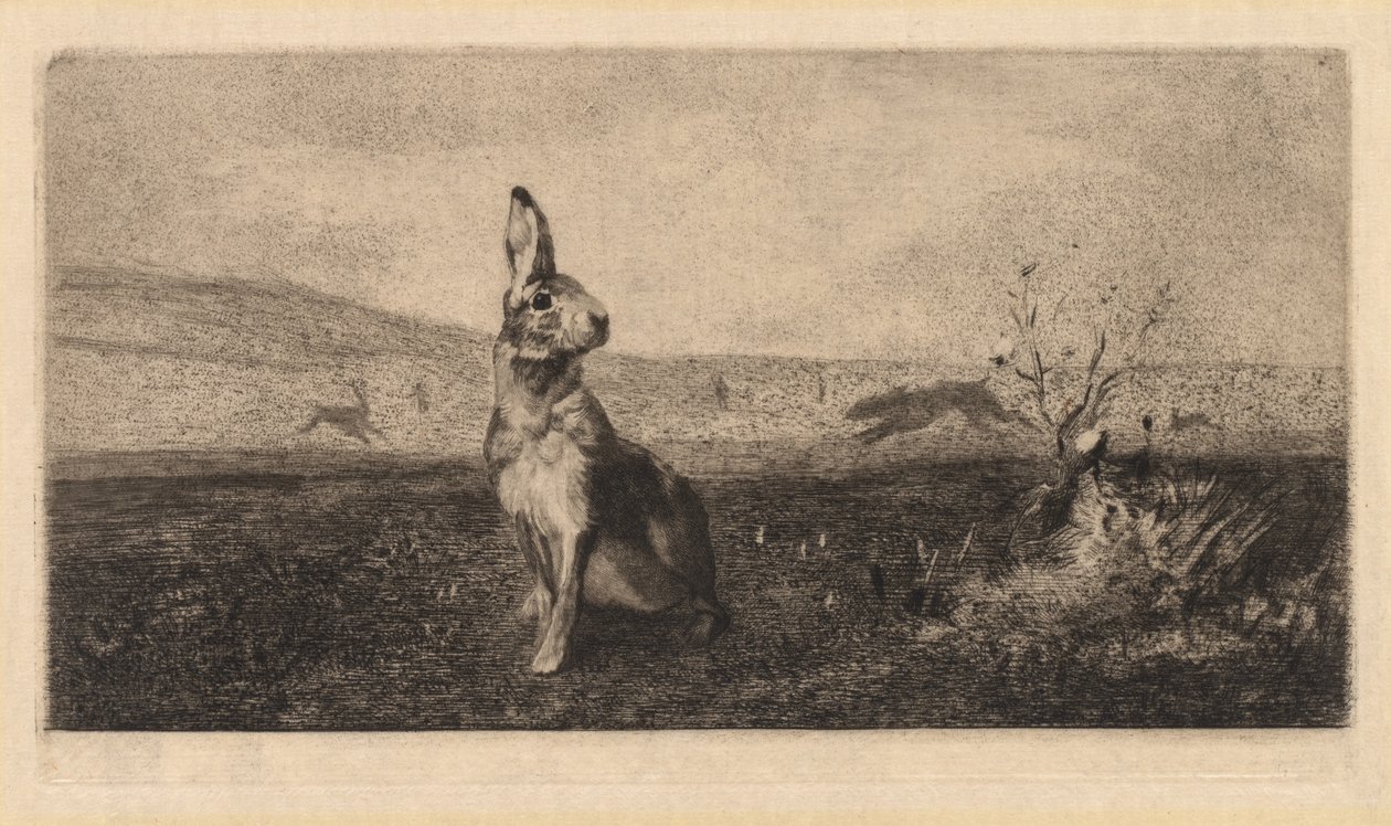 Haren av after Albert de Balleroy