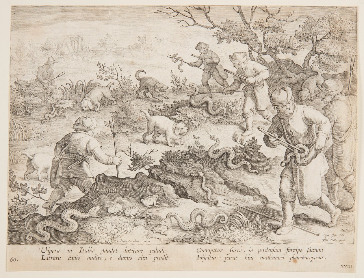 Jakt på slanger av after Jan van der Straet, called Stradanus