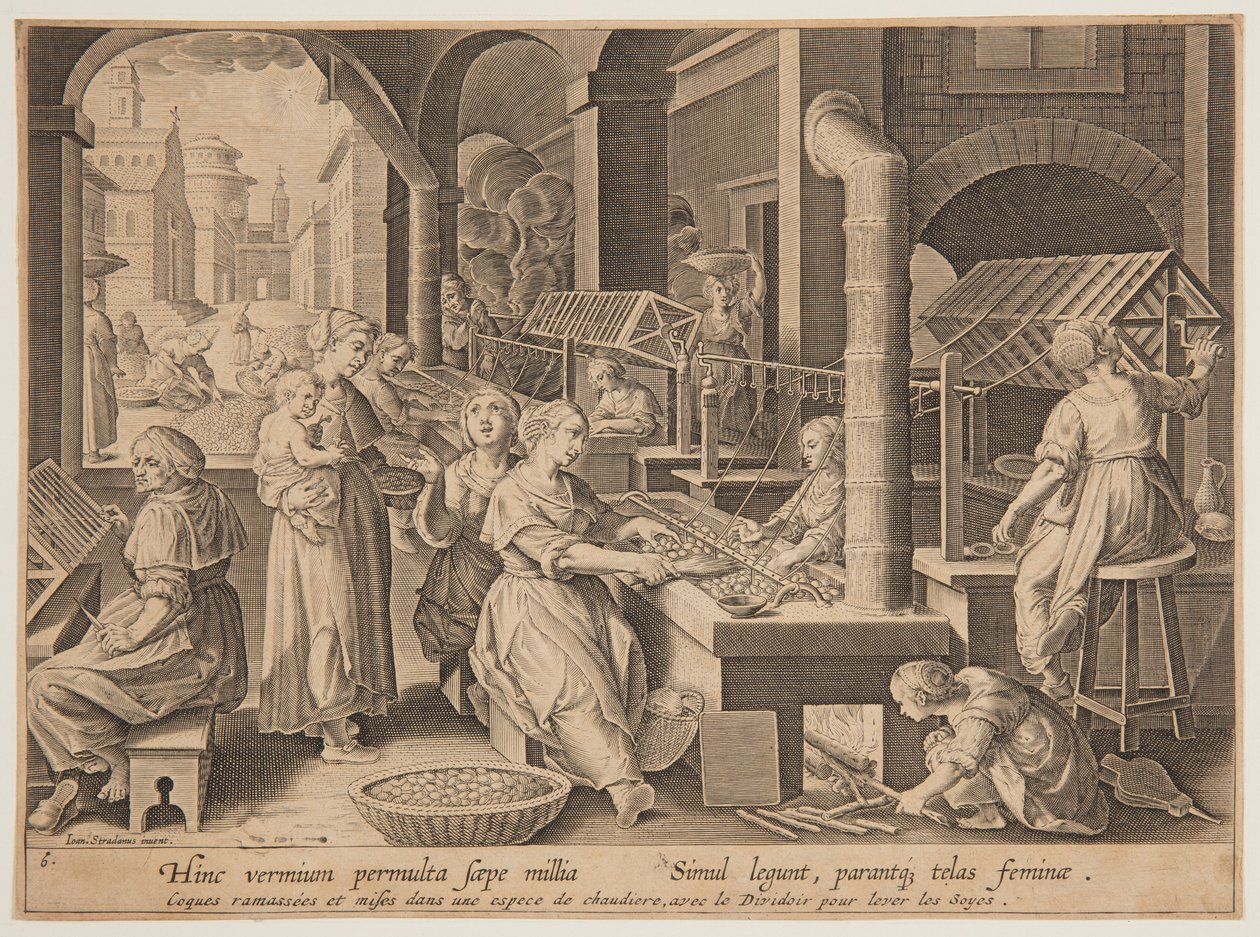Vikle av silkekokongene av after Jan van der Straet, called Stradanus