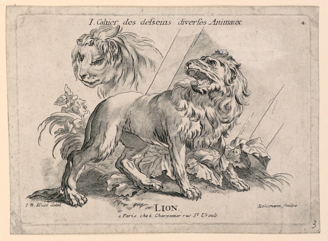 Studier av løver, plate 4 fra "Cahier des Desseins Diverse Animalaux" av after Jean Baptiste Huet
