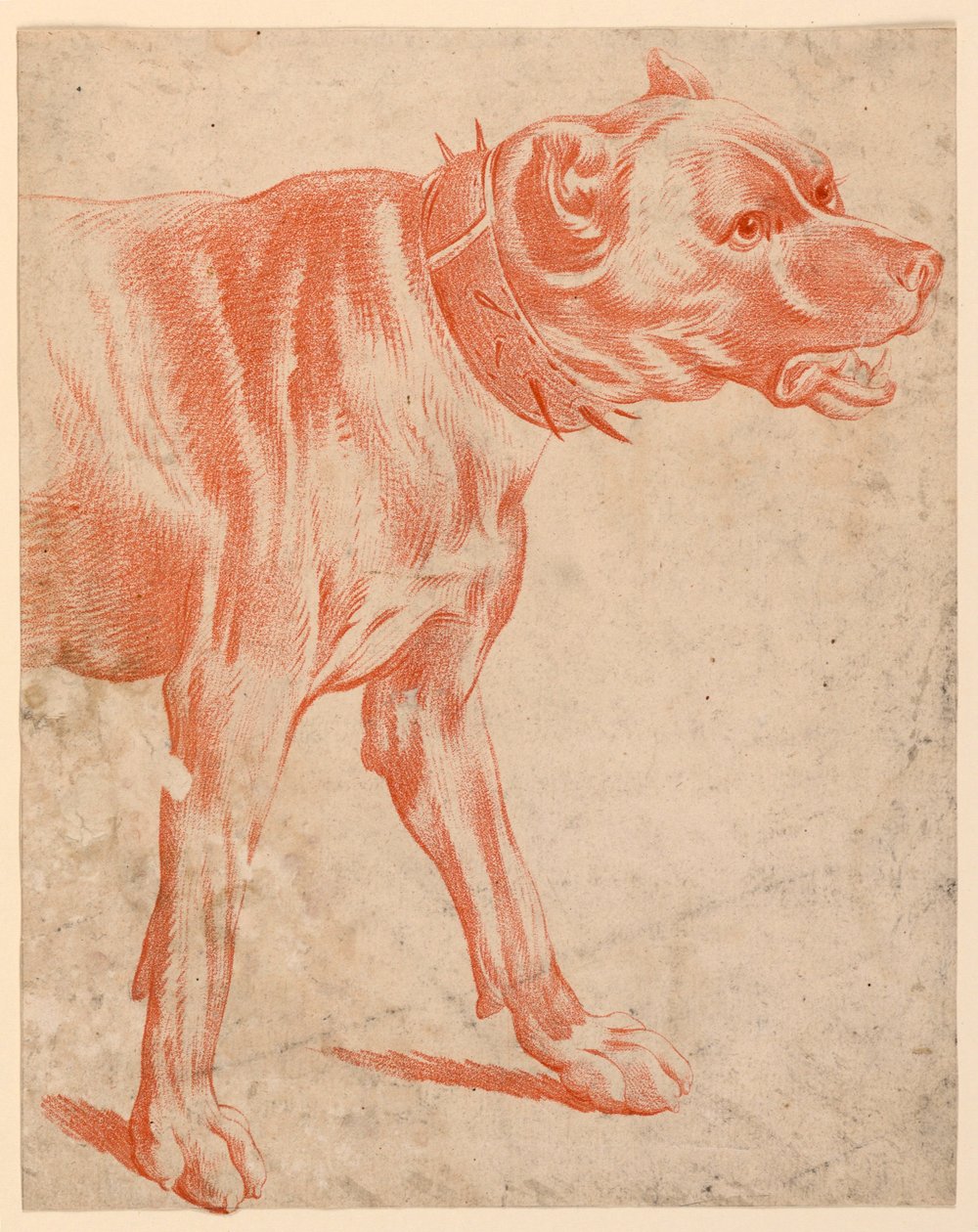 Fordelen til en hund av after Jean Baptiste Huet