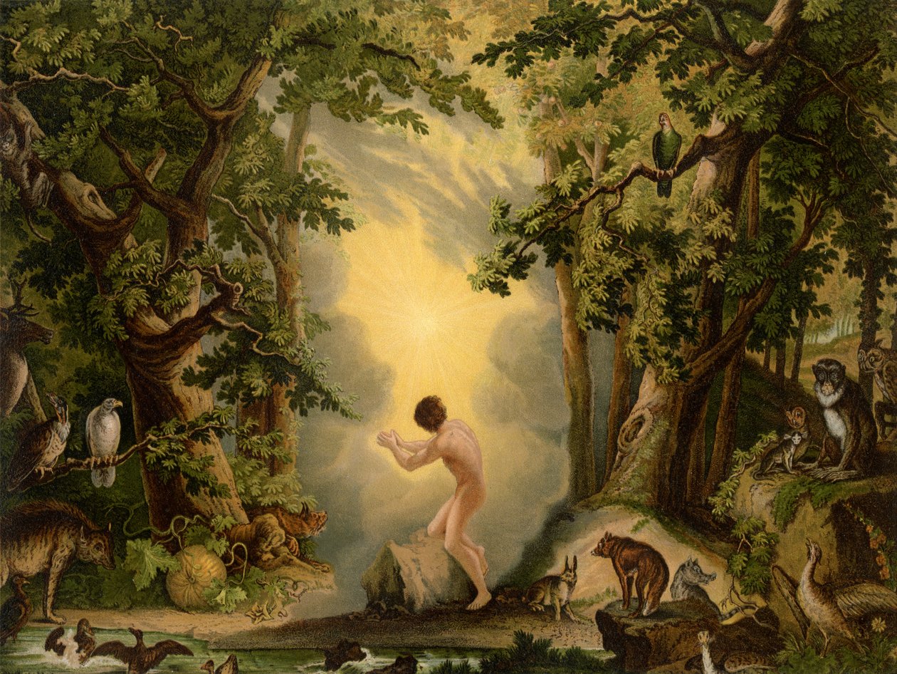 Skapelsen av Adam av Johann Elias Ridinger or Riedinger