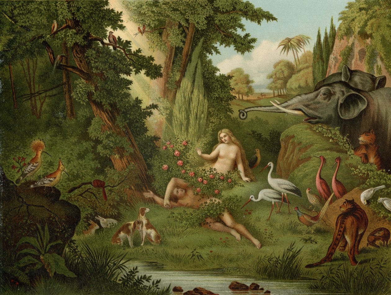 Skapelsen av Eva av Johann Elias Ridinger or Riedinger
