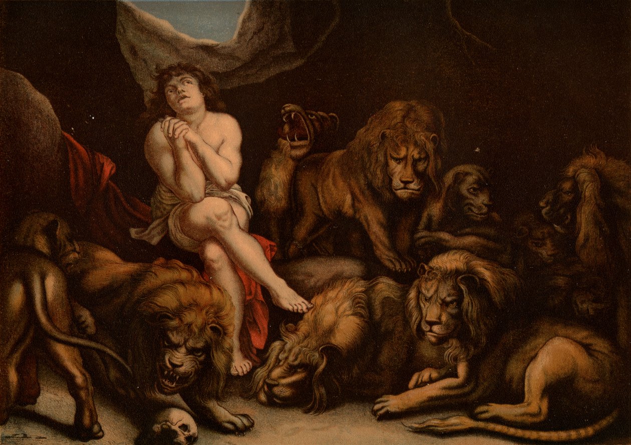 Daniel i Løvehulen av after Peter Paul Rubens