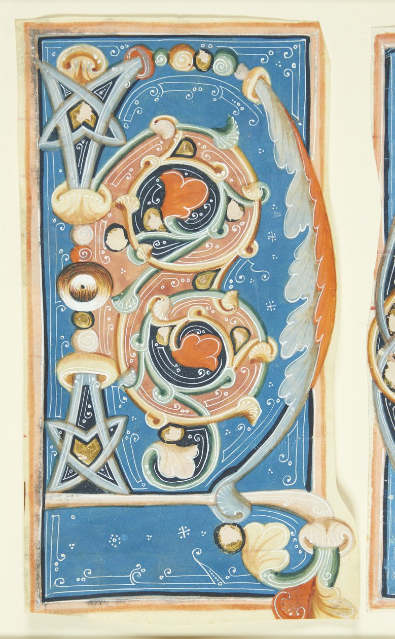 Ornamentert initial C av after Ubekendt