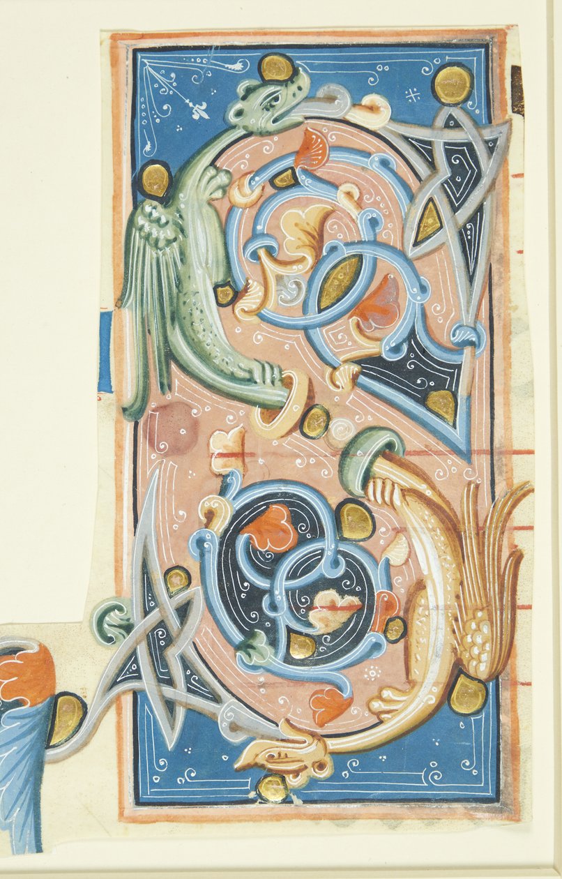 Ornamentert initial S, hvis buer delvis består av to drager. av after Ubekendt