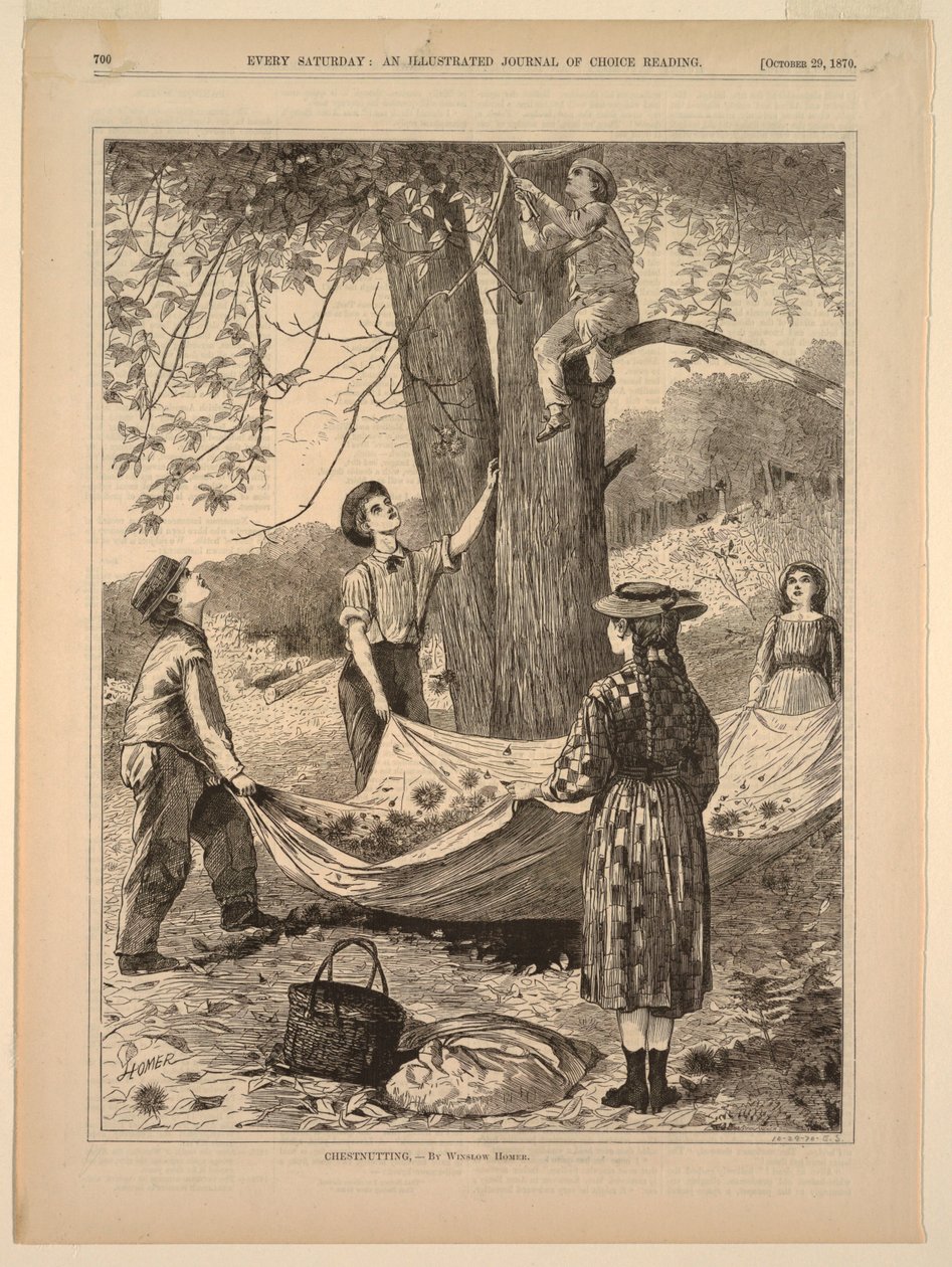 Chestnutting   1261744   no       norwegian Successfully Translated  Original: Three Figures Seated in a Meadow, Seen from the Back Translat: Three Figures Seated in a Meadow, Seen from the Back 1221609 no norwegian Successfully Translated Original: Classi av after Winslow Homer