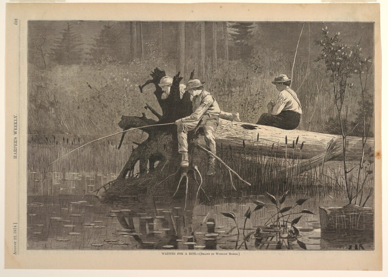 Waiting for a Bite, fra Harper