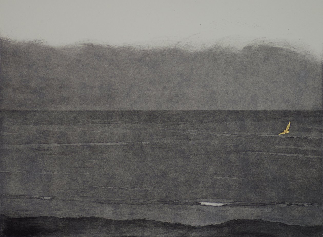 Silent flight, 2017, etsning, akvatint og håndfarging på papir av angus hampel
