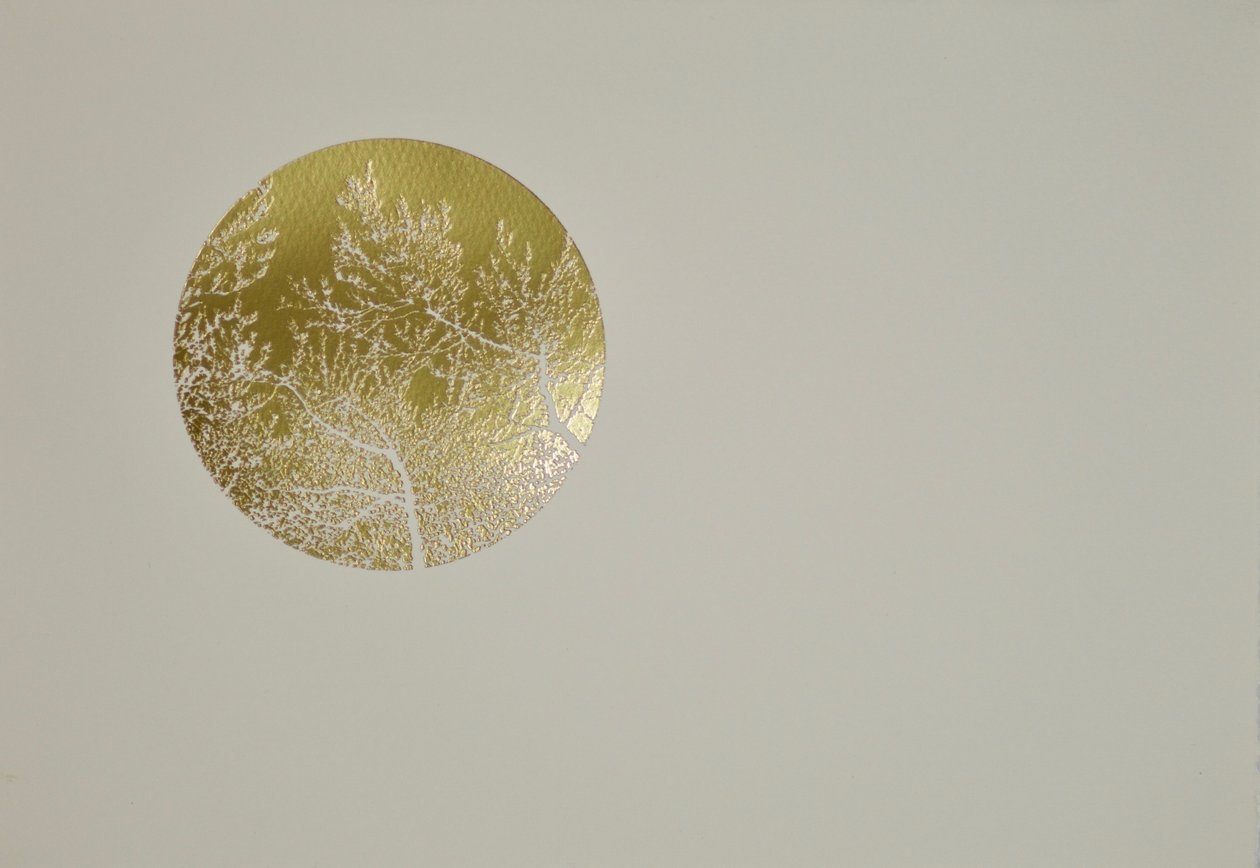 Silent olive, 2017, varmstemplende bladrull på papir av angus hampel