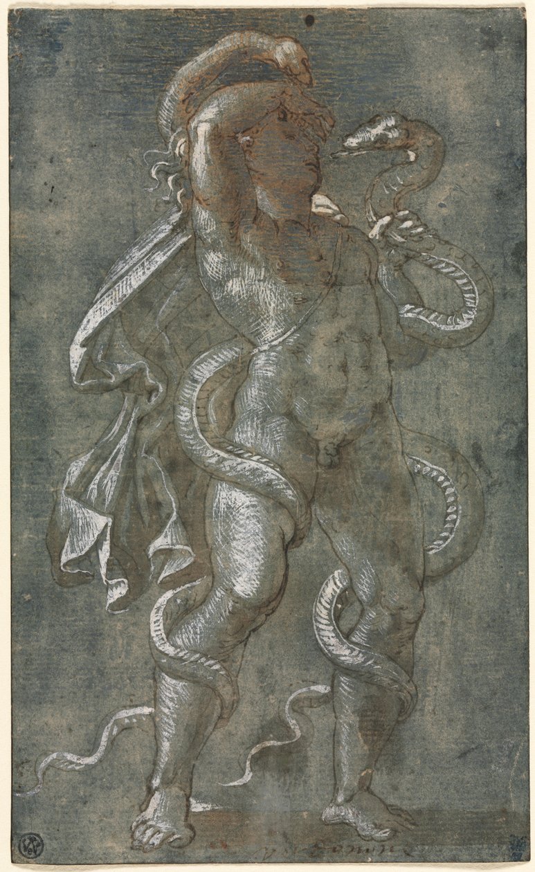 Mann sammenflettet av to slanger av attributed to Giovanni Antonio da Pordenone