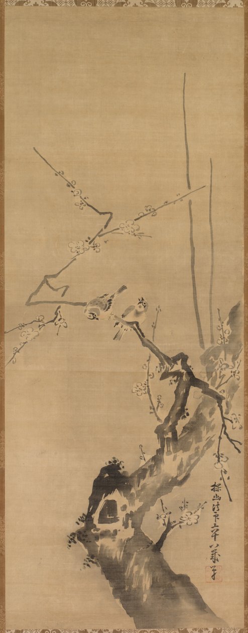 Spurver på blomstrende plomme av attributed to Kano Tan’yū