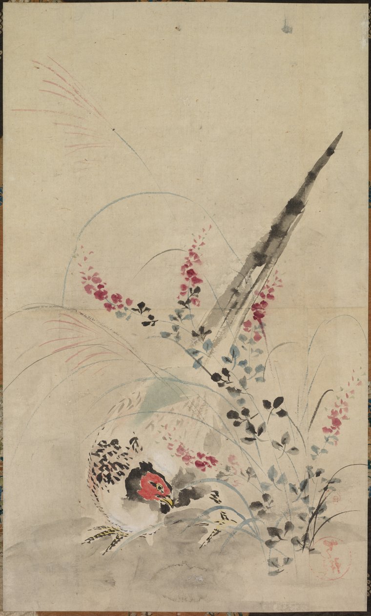 Fasan og gress av attributed to Ogata Kōrin