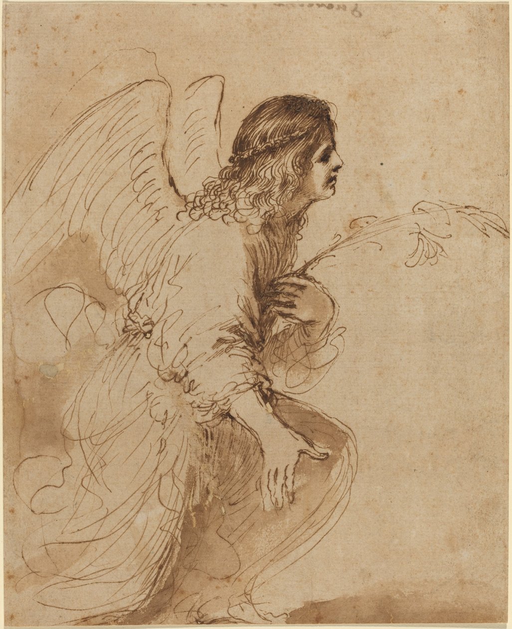 Bebudelsens engel av called Guercino Giovanni Francesco Barbieri