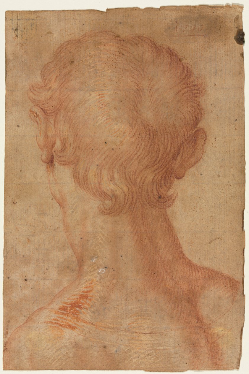 Mannens hode bakfra av copy after Agnolo Bronzino