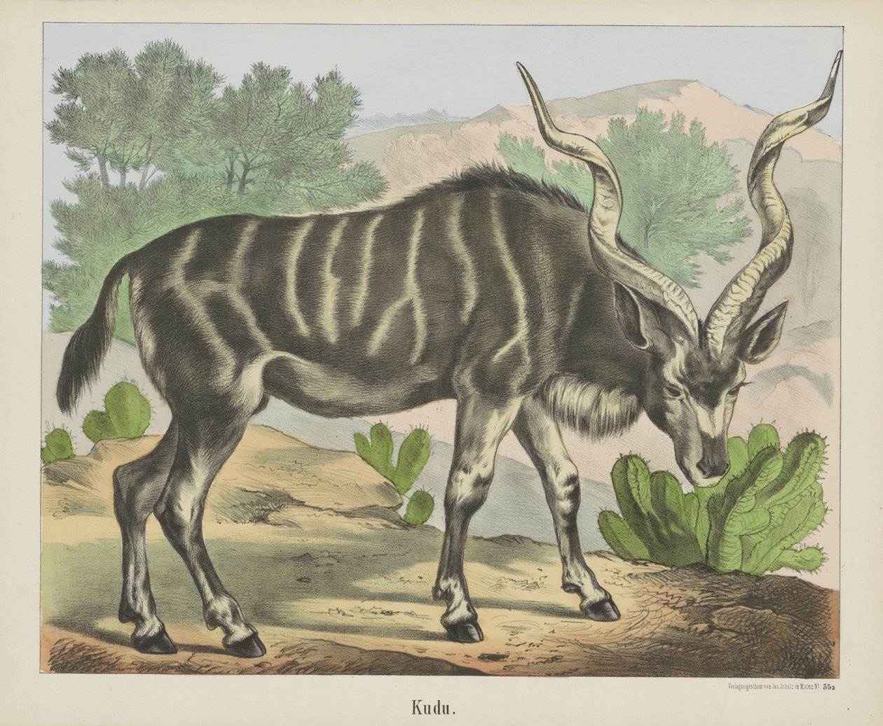 Kudu (tittel på objekt) av firma Joseph Scholz