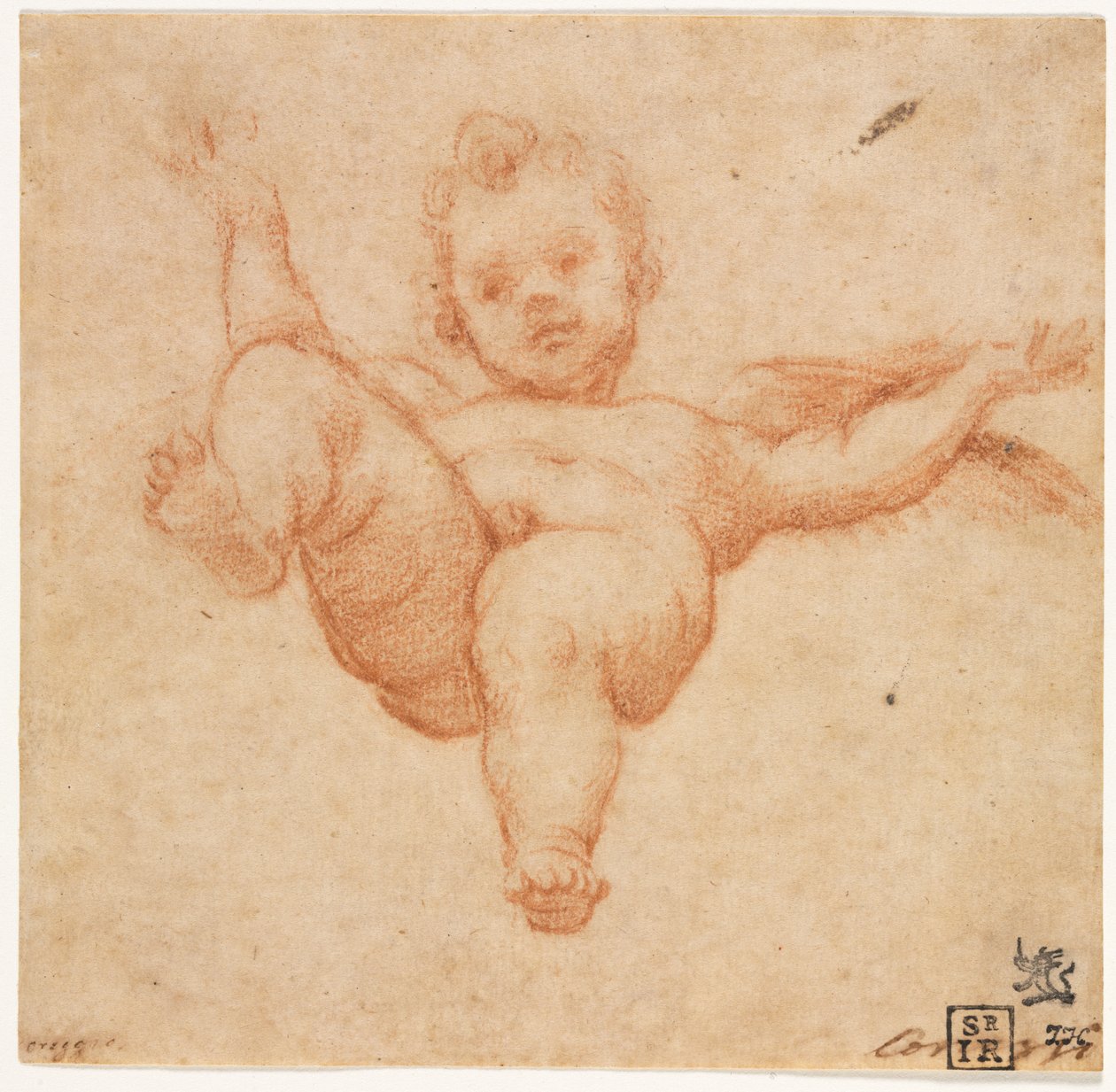 Flyvende Amor av follower of Annibale Carracci