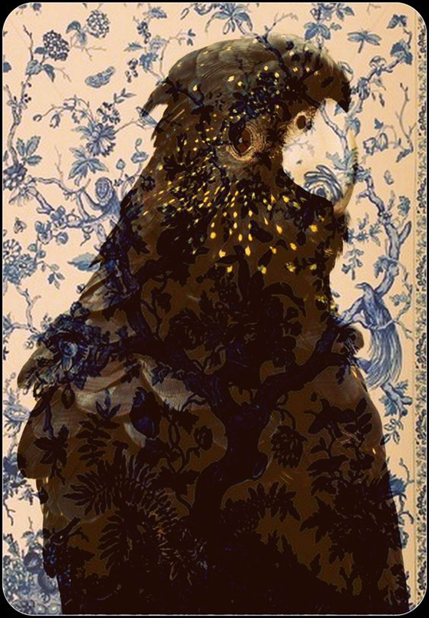  av linda arthurs