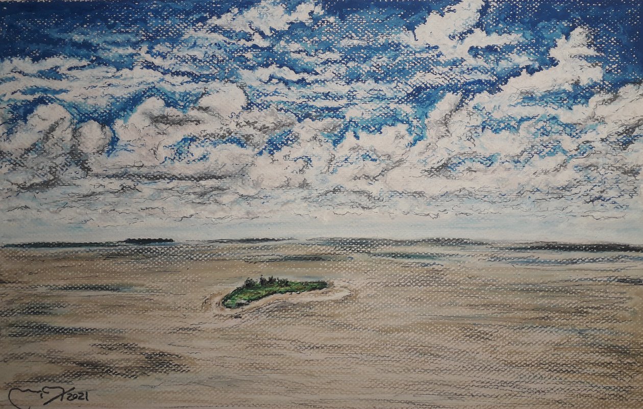 ORINOCO DELTA - BOCA GRANDE av miguelmendez_art.ve