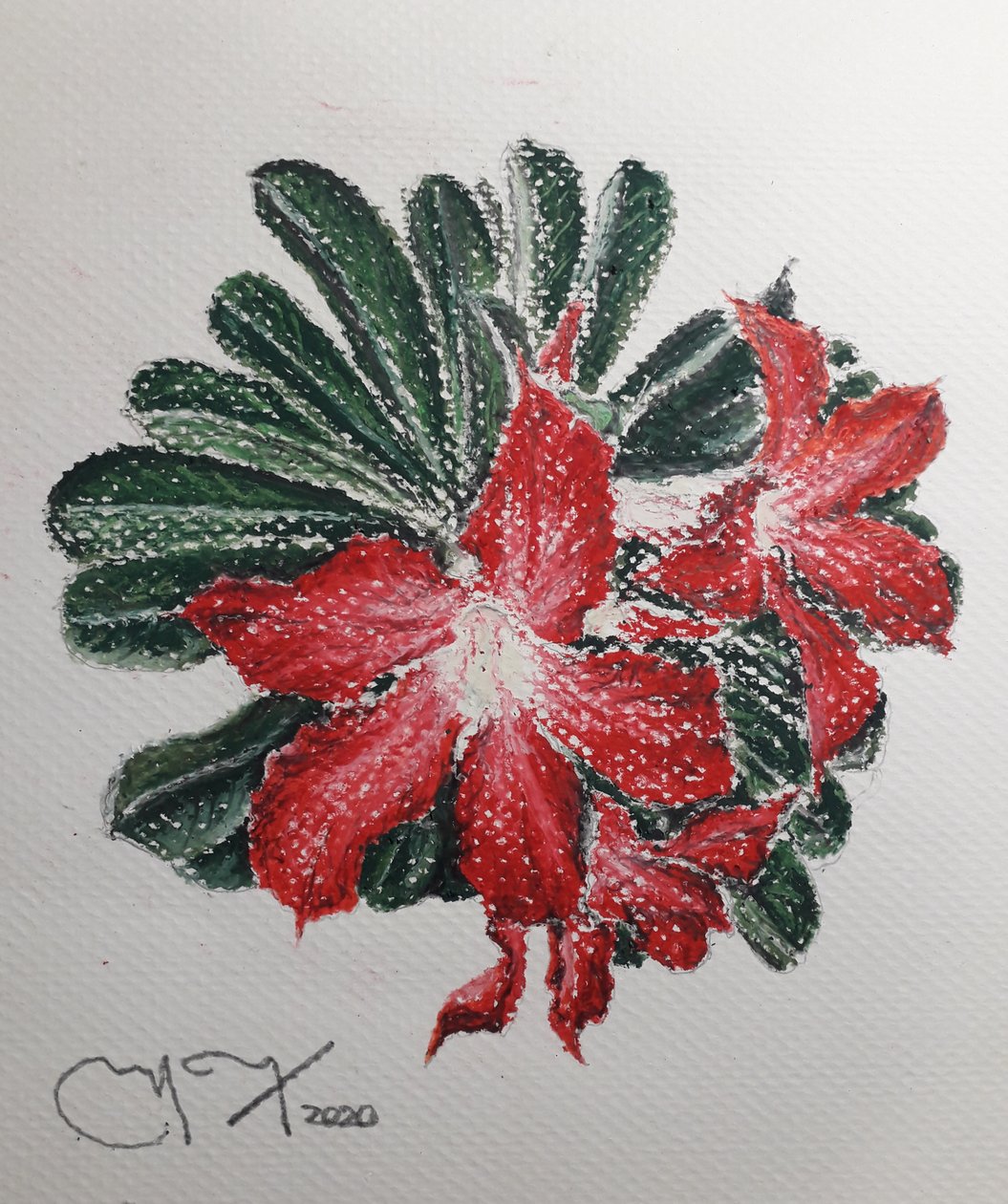 Ørkenblomst av miguelmendez_art.ve