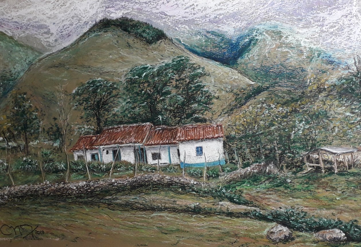 ANDEAN LANDSCAPE - LLANO LARGO VENEZUELA av miguelmendez_art.ve