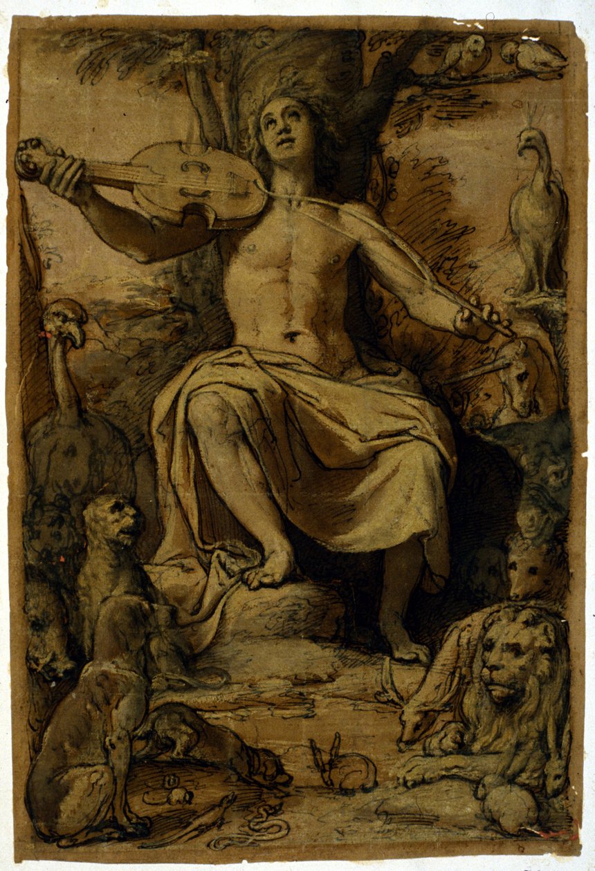 Orpheus fortryller dyrene med musikken til en fiolin. Tegning av Federico Zuccari (1542 - 1609). av or Zuccaro Federico Zuccari