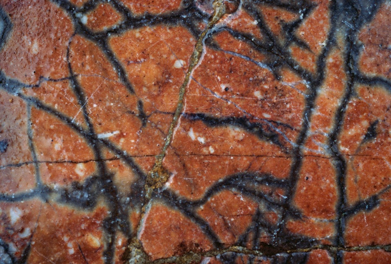 Marmorgulv, detalj, Hadrians villa, 2. århundre e.Kr., Tivoli, Lazio, Italia (bilde) av Unbekannt Unbekannt