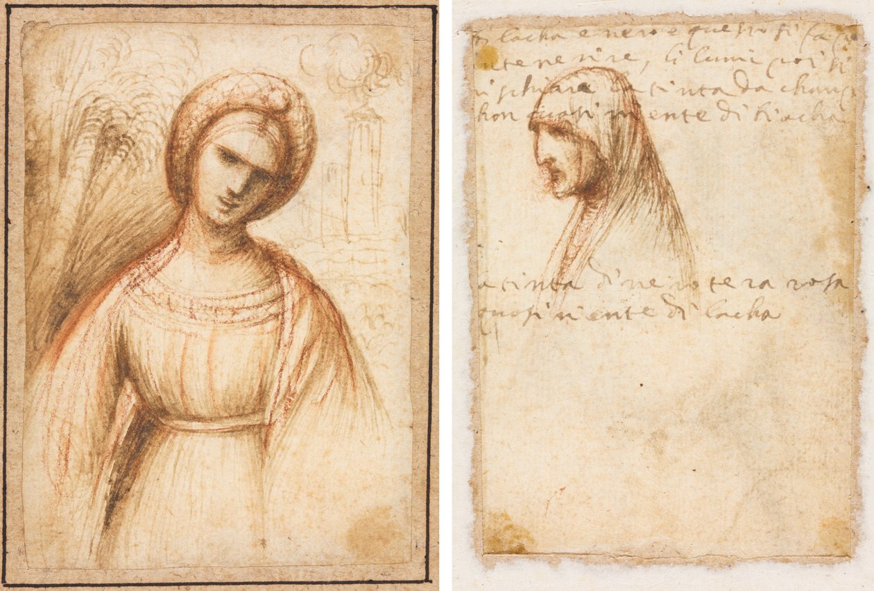 Dame i et landskap (recto); Bystelengdeprofil av en gammel kvinne (verso) av possibly by Dosso Dossi