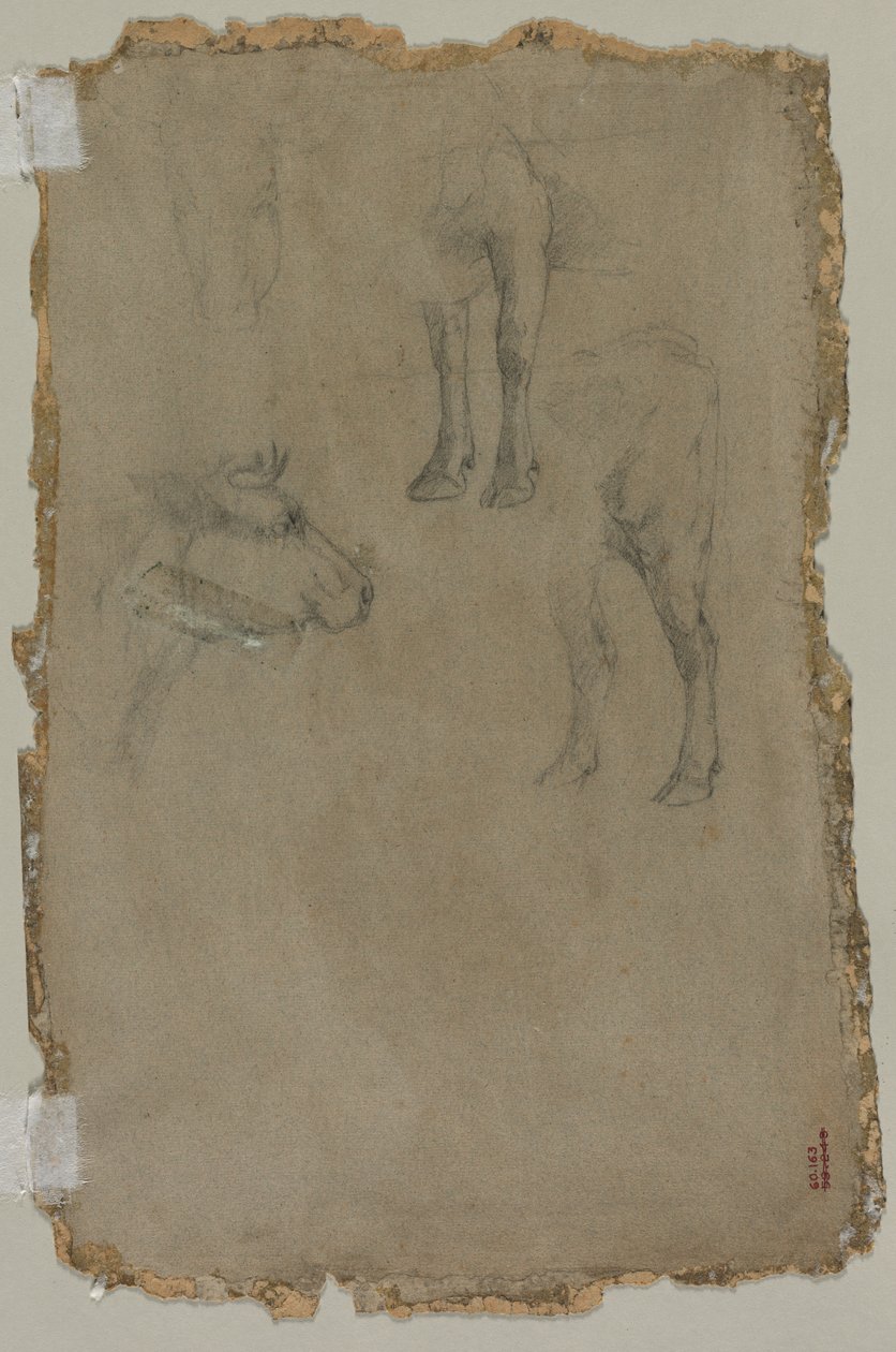 Studier av en okse (verso) av possibly by Johan Barthold Jongkind