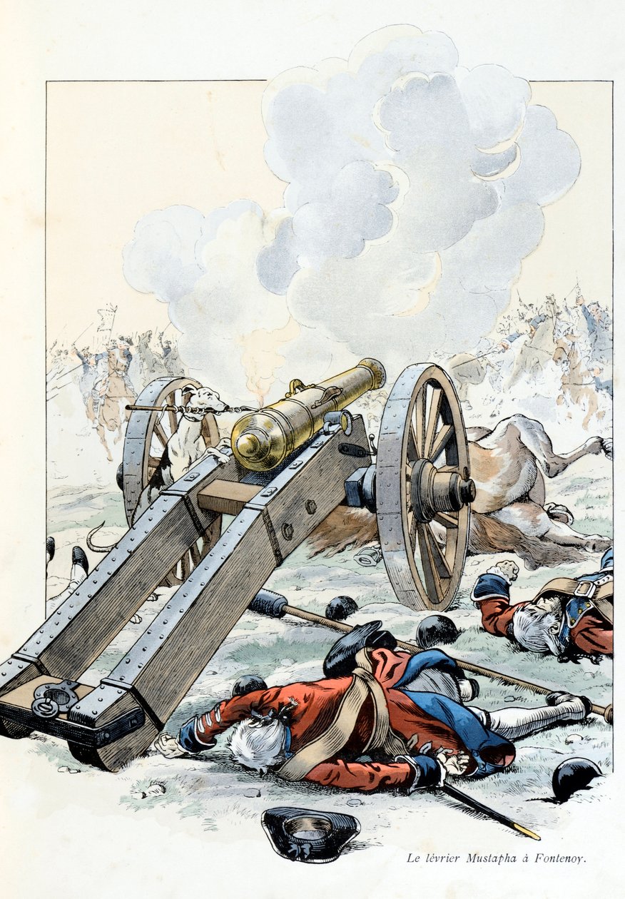 Illustrasjon fra boken «A la gloire des betes»» tekst av A Fabre, tegninger av Jacques Marie Gaston Onfray de Breville dit JOB (1858-1931), forlag Maison Alfred Mame et fils: War of the Austrian Succession: the yeast Mustapha in Fontenoy av pseudonym for Onfray de Breville Jacques Job