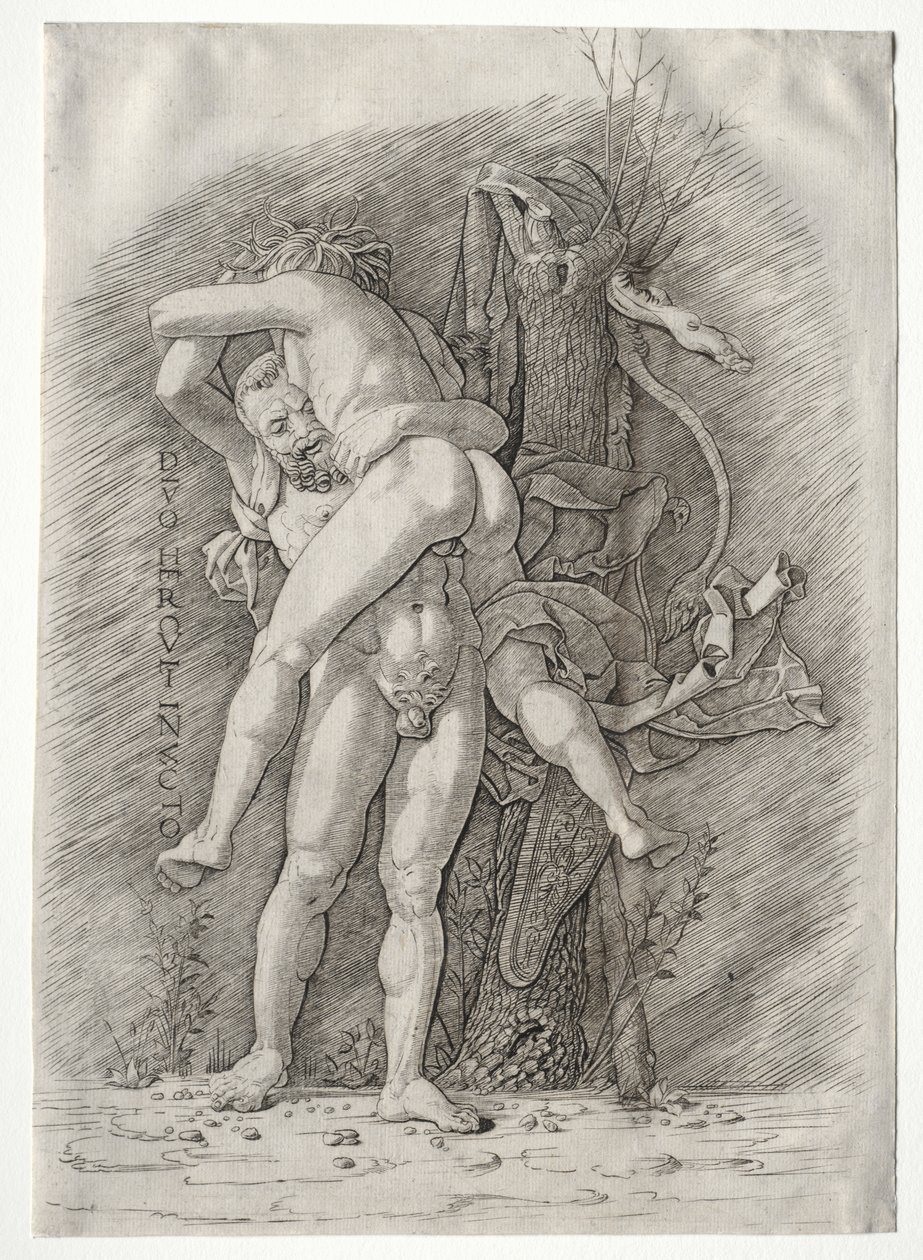 Hercules og Antaeus av school of Andrea Mantegna