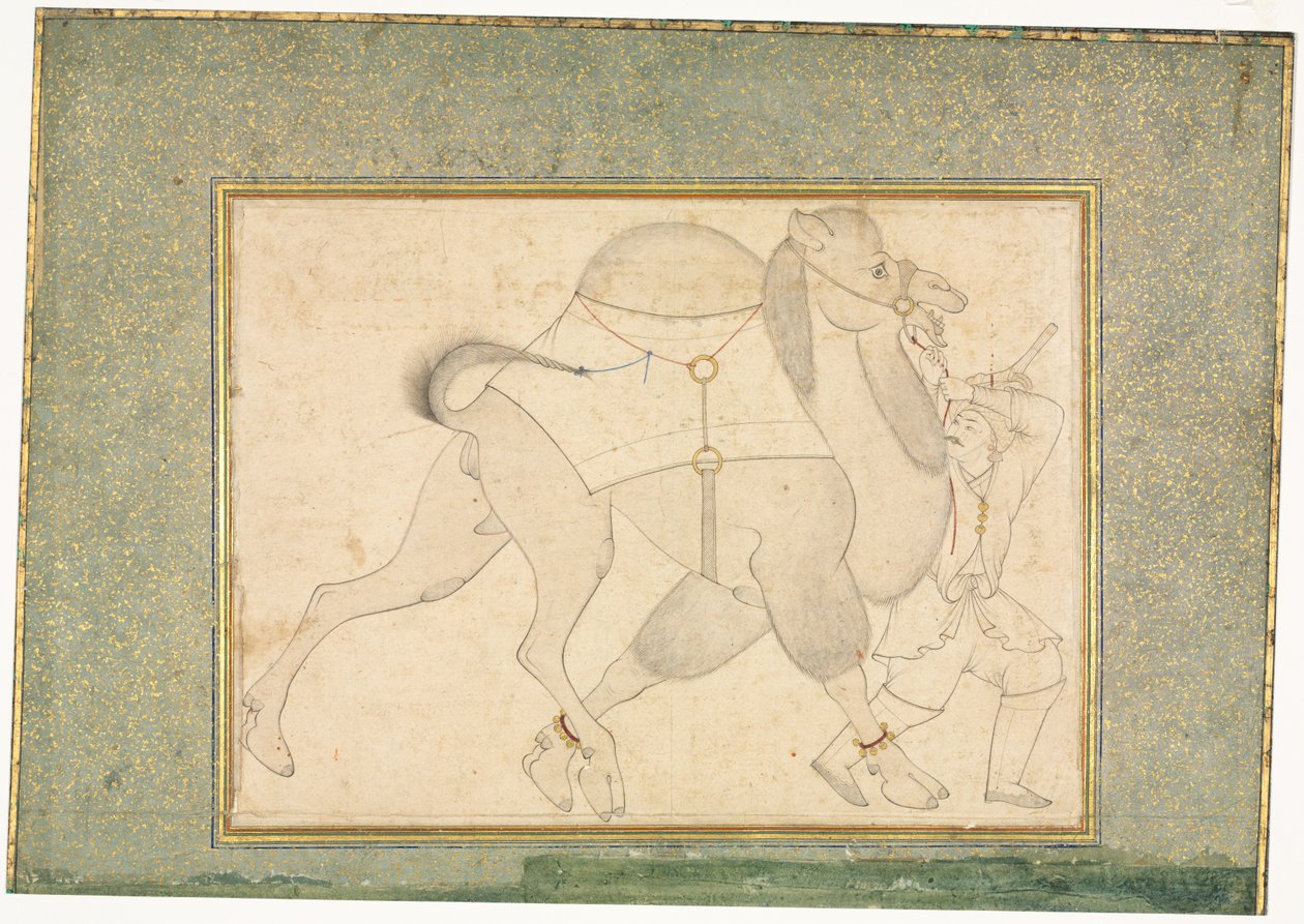 Kamel og brudgom; Enkeltside illustrasjon av style of Shaykh Muhammad