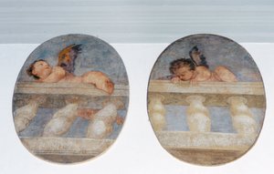 To bevingede putti som klatrer over en balustrade, rundeller fra sakristiet (fresco) av Veronese