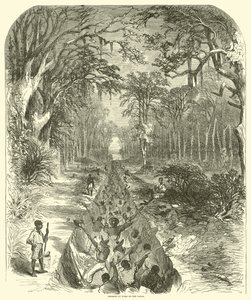Negere på jobb på kanalen, mars 1863 (gravering)