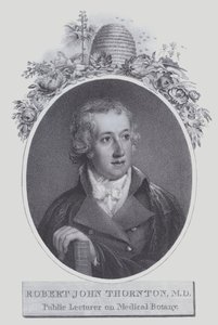 Robert John Thornton (litho) av (after) English School