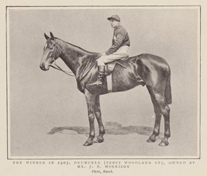 Drumcree, vinner av Grand National i 1903 (s/h-bilde) av (after) English photographer