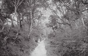  av (after) English photographer