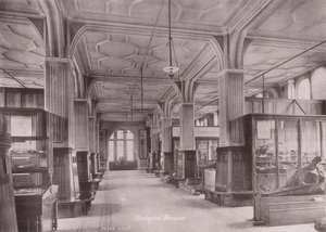 Owen#39;s College, Manchester: Geologisk museum (s/hv-bilde) av (after) English photographer