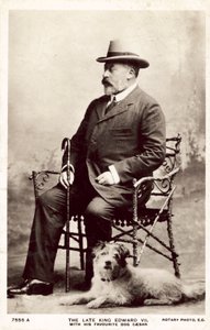 Den avdøde kong Edward VII, med denne favoritthunden Cæsar (s/hvitt-bilde)