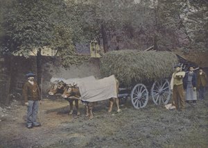 Attelag Bearnais (farget bilde) av (after) French Photographer